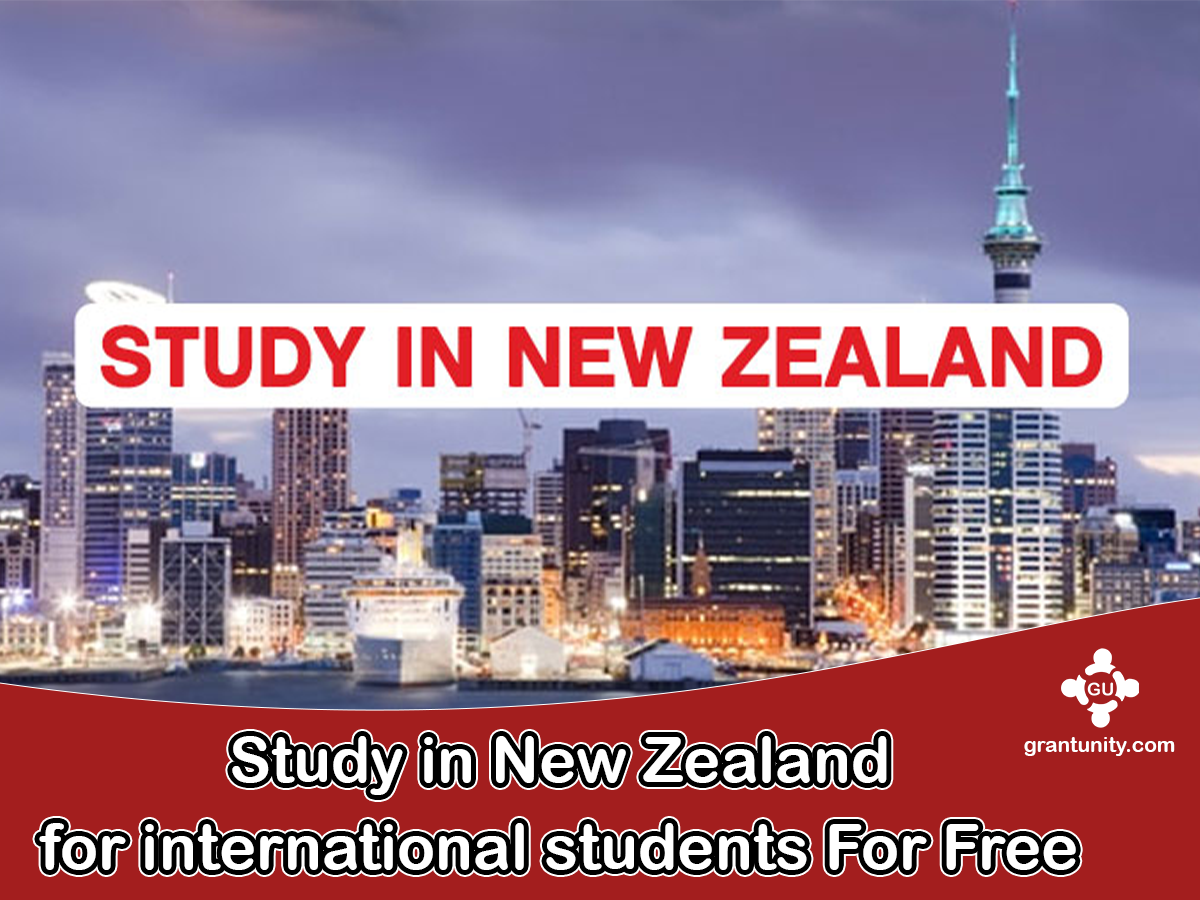 Study In New Zealand.webp