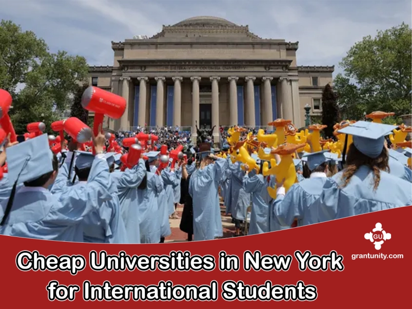 Universities In New York 845x634.webp