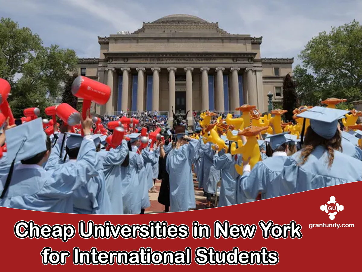 Cheap Universities in New York for International Students 20242025