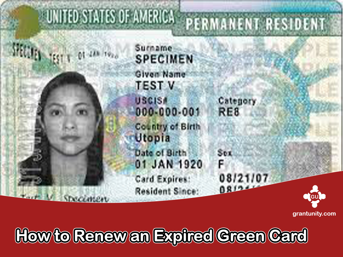 How to Renew an Expired Green Card 2023requirements