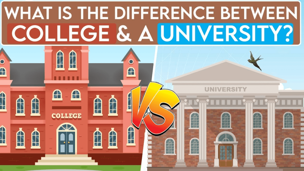 Difference Between University and College