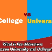 difference University and College