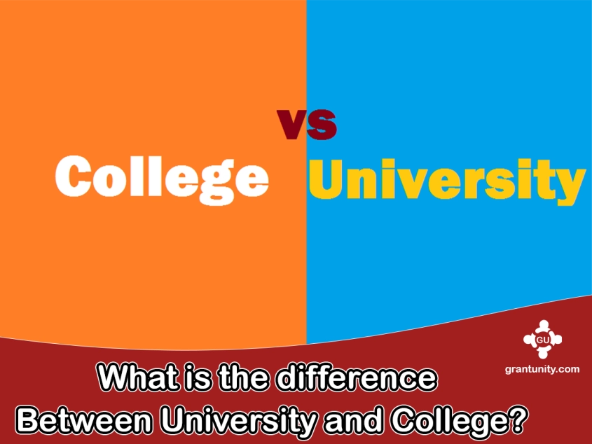 difference University and College