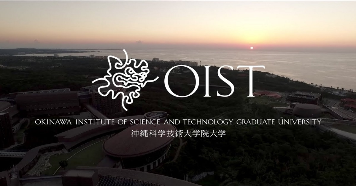 OIST-Research-Internship